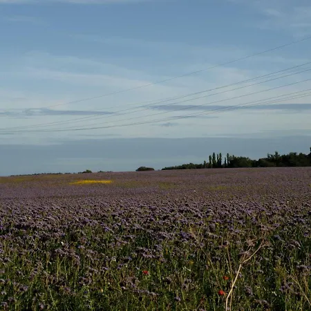 Blockhaus In - Fuer 2 Erwachsene Und 1 Kind Von 5 Bis 16 Jahre Baabe